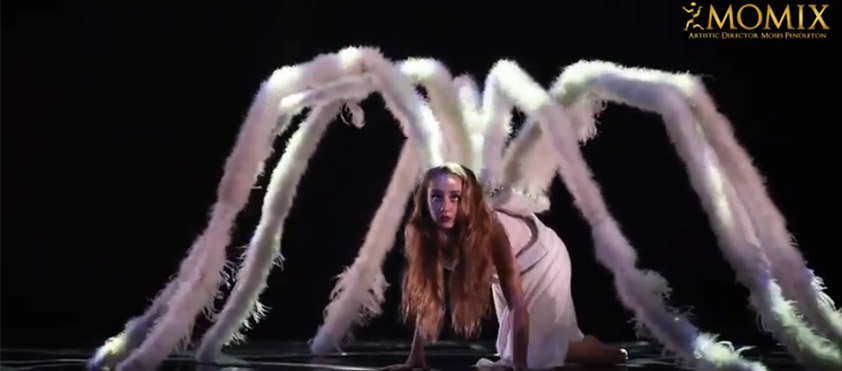 momix-2-800.jpg