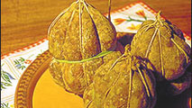 213x120salama.jpg