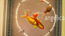 AngelixaFestival2012-213.jpg