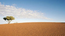 Australia_213x120.jpg