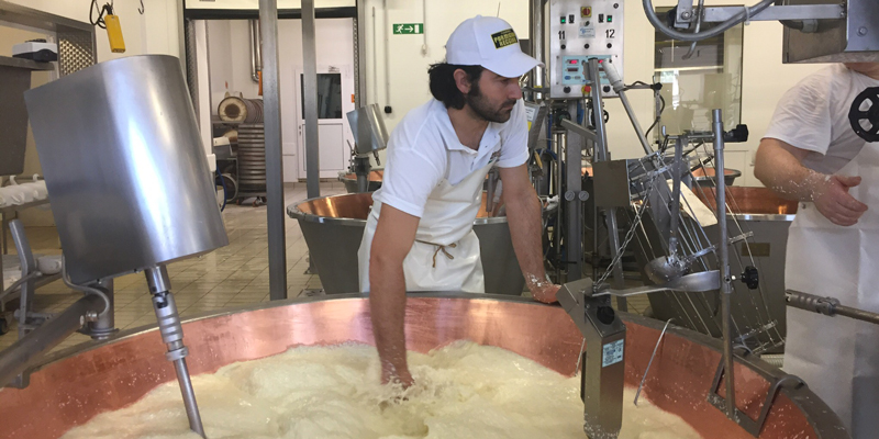 Fasi di produzione del Parmigiano Reggiano
