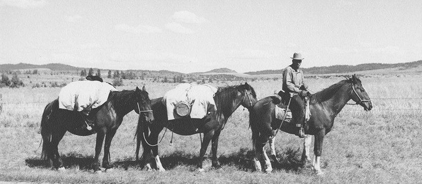 Arthur Rothstein - Sheep herder on trail, Madras, Oregon, July 1936 -Library of Congress, 1973 CSAC Università di Parma, Sezione Fotografia