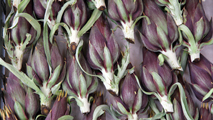 <span>Carciofi moretti di Brisighella</span>