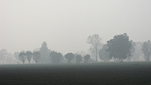 Nebbia nella pianura padana