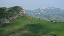appennino_gatto_213.jpg
