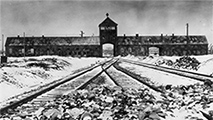auschwitz213.jpg