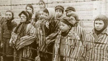 Un'immagine di Auschwitz