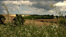 campagna_213x120.jpg