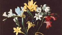 Autore Ignoto, <em>La Fiasca Fiorita</em>