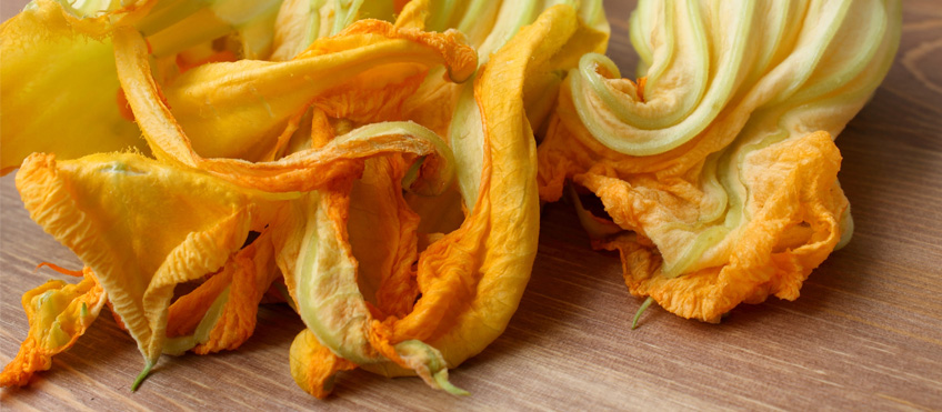 Fiori di zucca