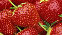 fragole213x120.jpg