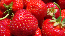 fragole2_213x120.jpg