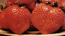 Fragole di Lagosanto