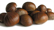 Marroni di Castel del Rio