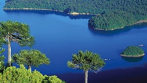 Parque Conguillio