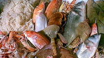 pesce_misto_213x120.jpg
