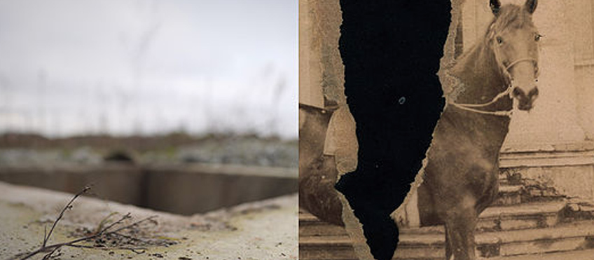 Foto Luca Piovaccari