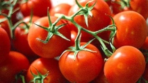 Pomodori