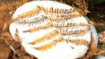Formaggio Raviggiolo