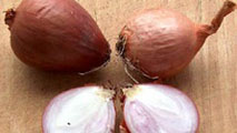 Scalogno, immagine tratta dal sito www.agraria.org