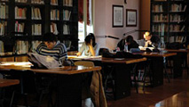 Copyright: Regione Emilia-Romagna A.I.U.S.G. - Autore: Tamburini Alan