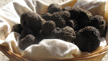 Il tartufo nero