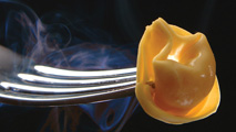 Tortellino