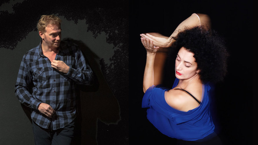 The Forest Di Cristiana Morganti E Claudio Tolcachir 2